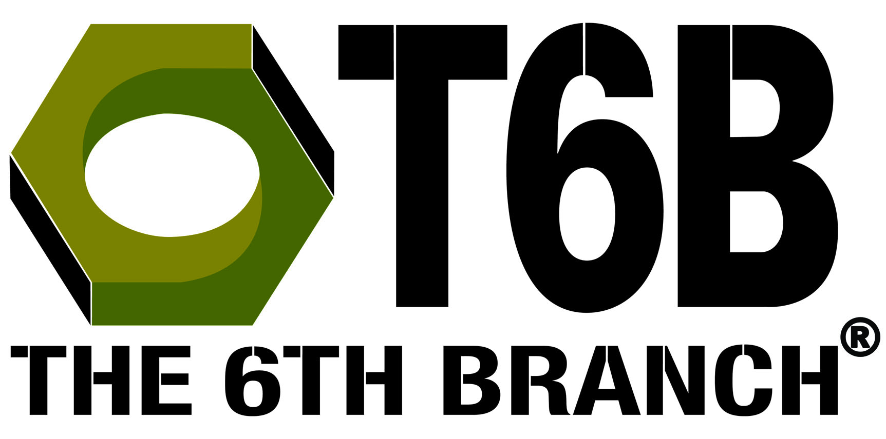 T6B Hex Nut Mark_2 T6B The 6th Branch logo